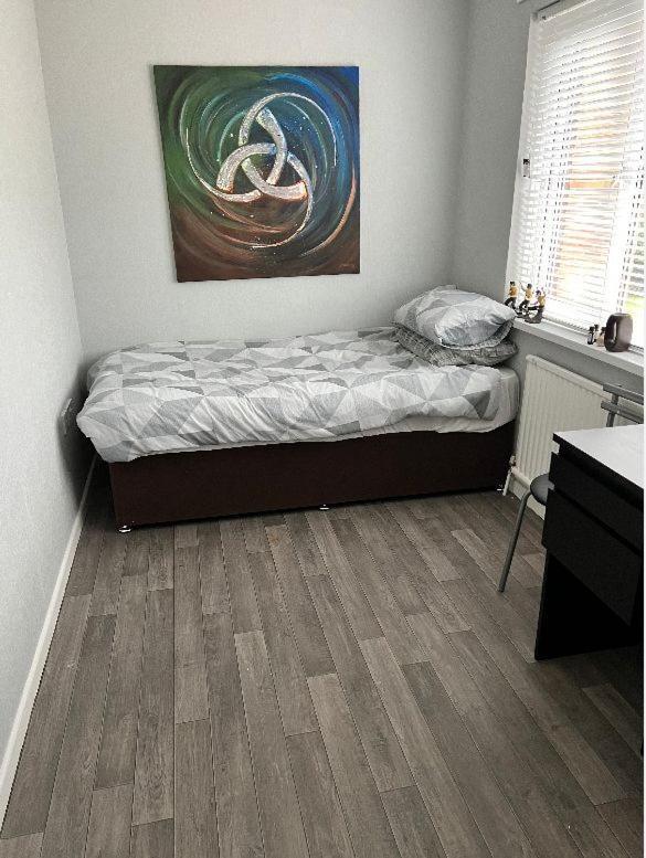 Macs Belfast Single Bedroom Exteriör bild