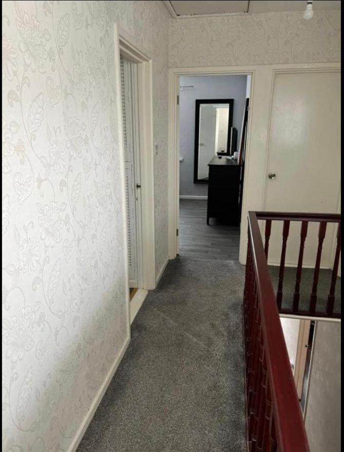 Macs Belfast Single Bedroom Exteriör bild
